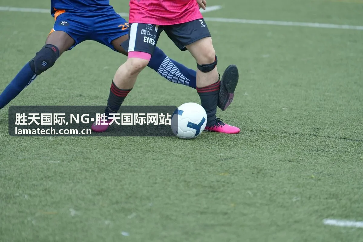 胜天国际,NG·胜天国际网站商务合作视觉图