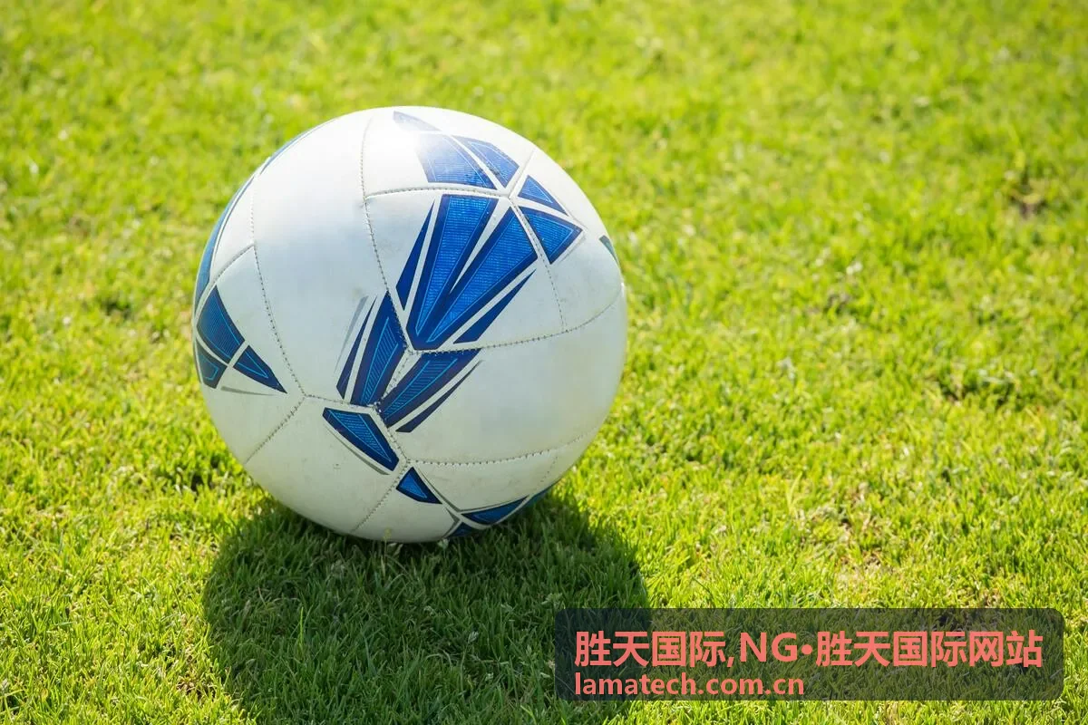 胜天国际,NG·胜天国际网站商务对接背景图
